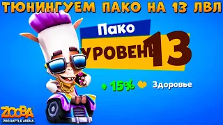 ТЮНИНГУЕМ АЛЬПАКУ ПАКО НА 13 УРОВЕНЬ В ИГРЕ ZOOBA