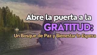 ✨ Viaja al Bosque de la Gratitud ❤️ : Meditación Guiada para Transformar tu Vida ☮️