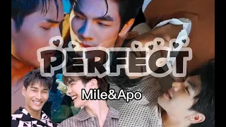 FMV Perfect - MileApo | KinnPorsche | Wedding moment | KinnPorsche The Series