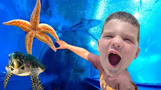Caleb Goes to the AQUARIUM and LEARNS aBOUT SEA TURTLES and Other Sea Creatures for KIDS!