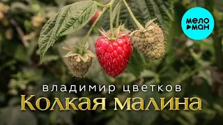 Владимир Цветков – Колкая Малина (Альбом 2024)