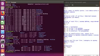 Linux команда ls - просмотр содержимого директории.