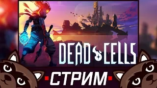 Стрим с Феном - Играем в Dead cells!