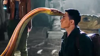 Muitos Anos Atrás, Ele Resgatou uma Pequena Cobra e Agora Ela Decidiu Protegê-Lo