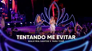 Tentando Me Evitar - Walkyria Santos, Yara Tchê @seudesejo  (Walkyria Santos Única 2)