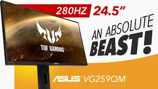 ASUS TUF VG259QM - An ABSOLUTE MONSTER - Detailed Review