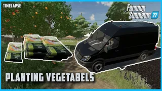 planting vegetabels on allotment garden ; farming simulator 22 timelapse (Hof Bergmann)