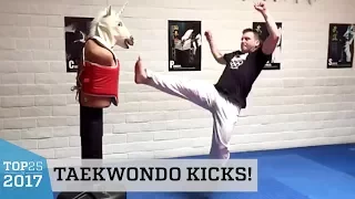 Amazing Taekwondo Kicks Training! | Top 25 of 2017
