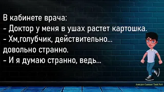 💎Разговаривают Двое Заключённых...Большой Сборник,Смешных До Слёз Анекдотов,Для Супер Настроения!