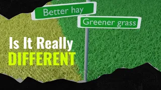 Narcissist, Cheating & Grass Is Greener Effect