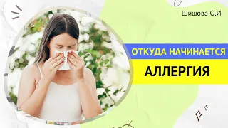 ОТКУДА НАЧИНАЕТСЯ АЛЛЕРГИЯ. [Шишова О.И.]