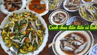 CANH CHUA CÁ LINH BÔNG ĐIÊN ĐIỂN - Lộc trời mùa nước nổi miền Tây | Đặc sản miền sông nước