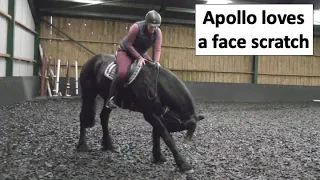 Apollo farting for England and doing his school work 🤣