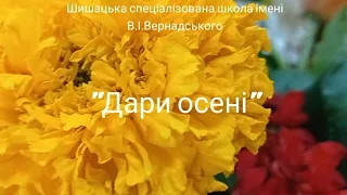 @vernadskyschool Виставка "Дари осені"