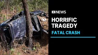 Horror crash near Manton Dam leaves four children in hospital and one teenager dead | ABC News