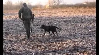 Lovačko udruženje Paraćin - kraj lovne sezone na sitnu divljač