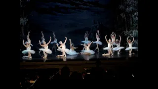 Swan Lake - Balshoi Ballet Company in St Petersburg - 2008