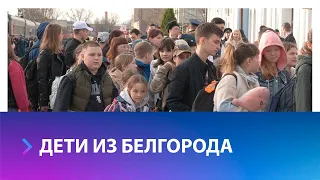 Более 750 человек из Белгородской области приехали в Ставропольский край