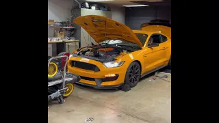 Supercharged Shelby GT350 in the Dyno #shorts