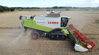 Claas Lexion 600 harvesting wheat on the Norfolk Broads