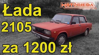 Łada 2105 za 1200 zł - mój nowy gruz - MotoBieda