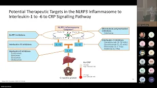 Targeting inflammation in cardiovascular disease: From canakinumab to colchicine