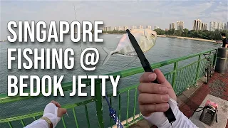 Early Morning Fishing at Bedok Jetty ● Filipino ● Singapore ● Ajing Setup ● 2024