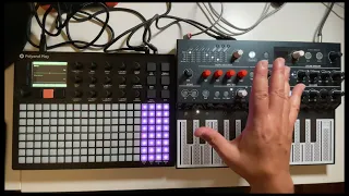 Polyend Play: Midi Control External Synths