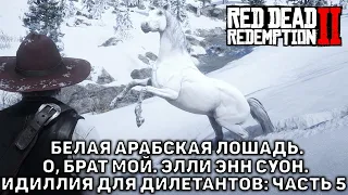 Белая арабская лошадь. О, брат мой. Элли Энн Суон ❄ Red Dead Redemption 2 ❄ №28