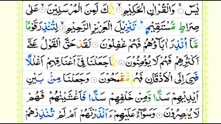 5 Times Surah Yasin Arabic Text | Beautiful Recitation Surah Yaseen full 5 times | سورۃ یس |