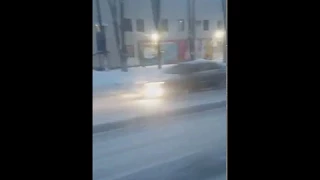 Козуля в Броварах 21/03/2018