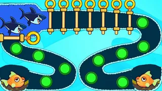 Save The Fish | Pull The Pin Update Level Save Fish Game Pull The Pin Android Game | Mobile Game