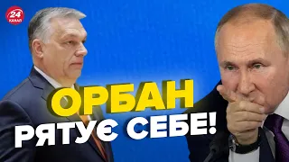 ⚡️Брехливі наративи про Україну в Угорщині / Тужанський пояснив звідки вони беруться