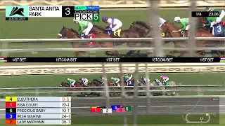 Shocking Grey wins Race 3 on Saturday, January 28 at Santa Anita Park