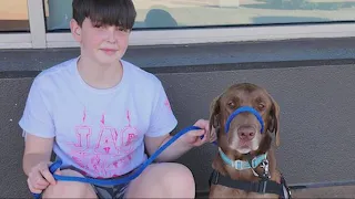 Ankeny student receives diabetic alert dog