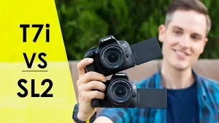 Canon SL2 vs. Canon T7i for Video? — Review and Video Test