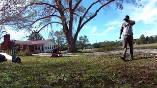 Tree Work from a Distance "The Huge Pecan Tree" - Part 3