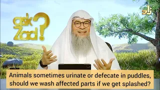 Puddles on road may have dog's or Cat's urine etc, must we wash if it spalses on us? Assim al hakeem