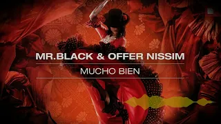 Mr.Black & Offer Nissim – Mucho Bien (MLLR Remix)