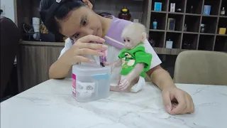 Baby Kiti monkey plays in the new family of a single mom