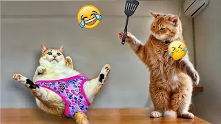 YOU LAUGH YOU LOSE😹Best Funny Animals Video 2024😻🐶