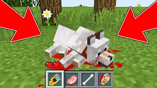 HOW TO SAVE THE LITTLE WOLF IN MINECRAFT VS 10000 ZOMBIE! WOLF LIFE MOVIE MINECRAFT ANIMATIONS