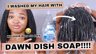 I Used DAWN DISH SOAP to Wash My Hair!!! | Dried My Hair Out | INSANE Definition? | Wash Day