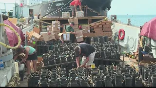 Professionals set up fireworks shows