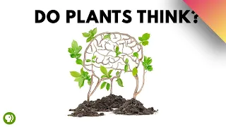 The Hidden World of Plant Intelligence