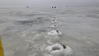 20.02.2019 Корюшка. Дамба, горбатый мост.