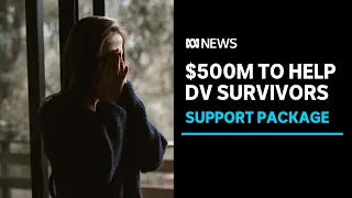 DVNSW CEO says 50pc of women escaping domestic violence are turned away at refuge houses | ABC News