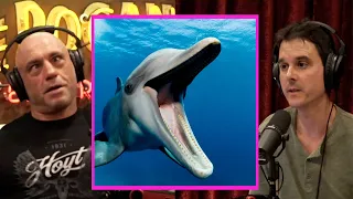 Most INTELLIGENT Animals In The World! | Joe Rogan & Brian Muraresku