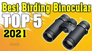 ✅ TOP 5 Best Birding Binocular 2021 [Buying Guide]