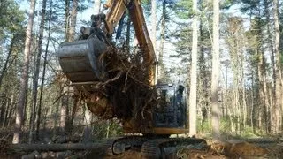 Case CX135CR Excavator Removing Stumps and Brush